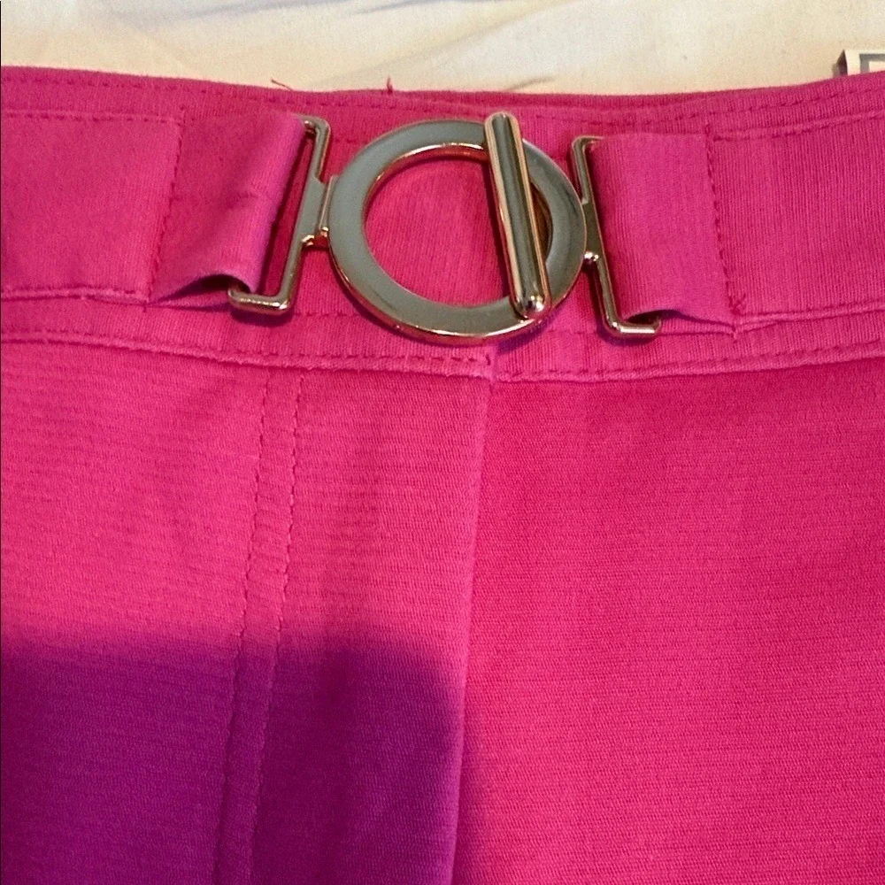 Charter Club Fuchsia Tummy Slimming Classic Fit Women's Shorts size 12 NWT - Picture 5 of 10